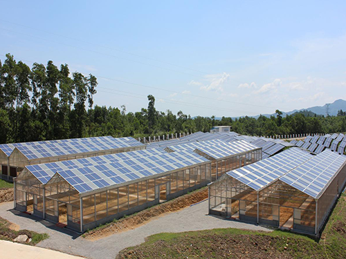 Hainan Greenhouse Project
